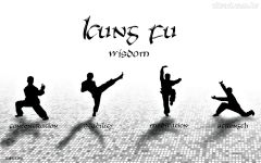 kung-fu-shaolin-missions